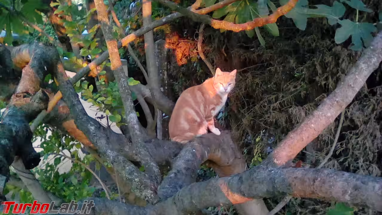 Foto Amazon Fire 7 (3)