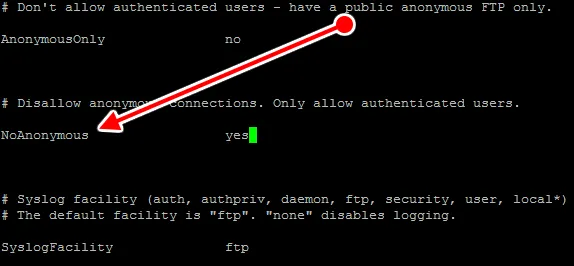 pure-ftpd.conf 01