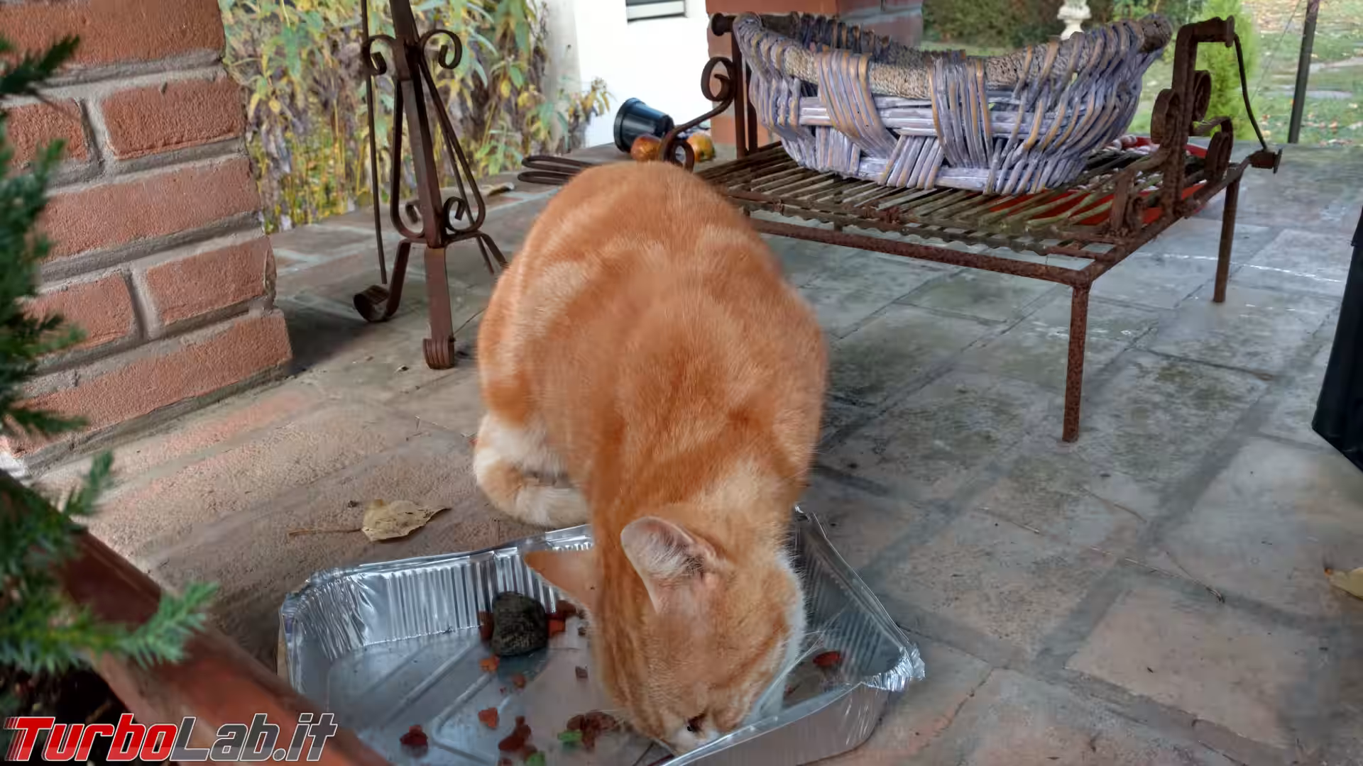 IMG_20151105_080506544_HDR