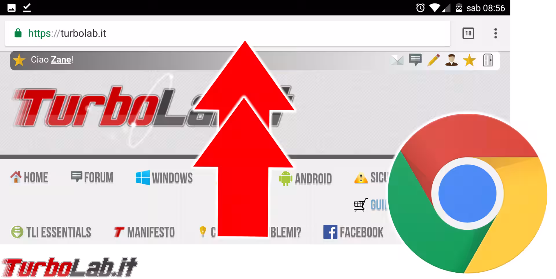 chrome android barra in alto spotlight