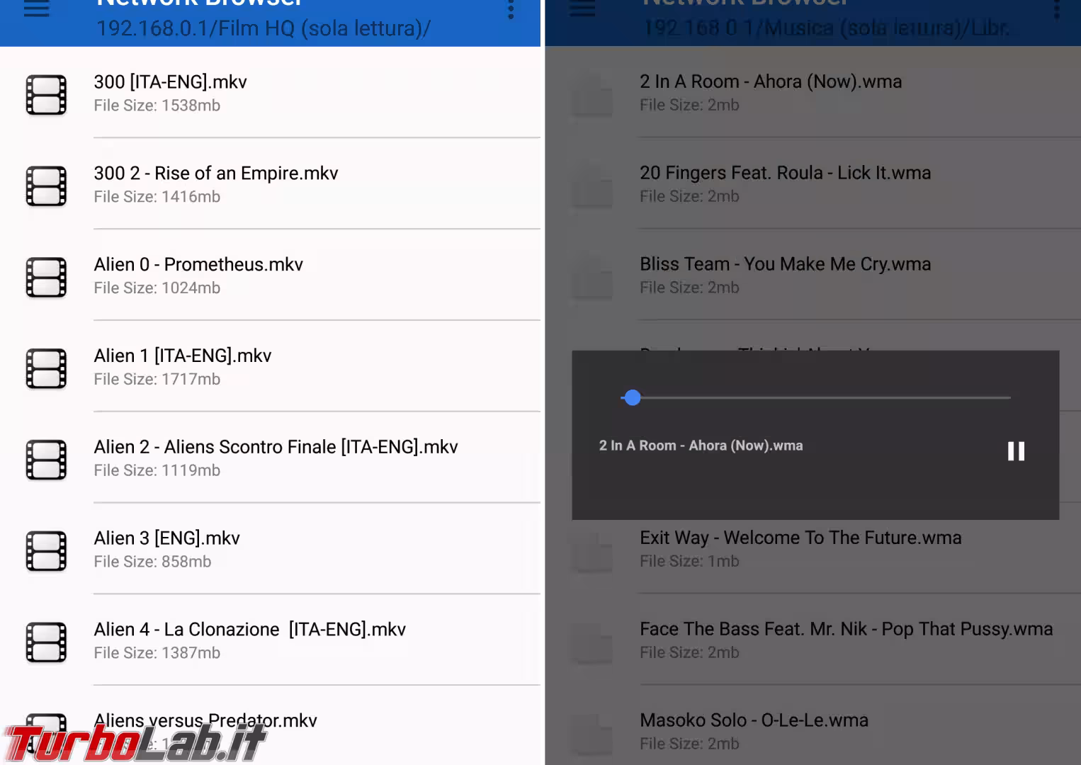 network browser multimed