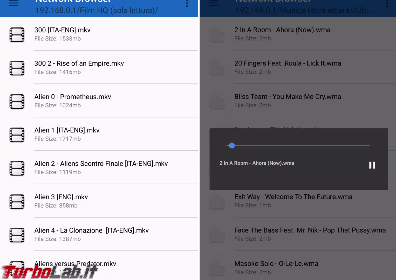 network browser multimedia