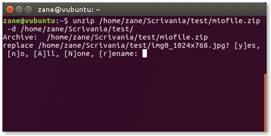 unzip prompt overwrite