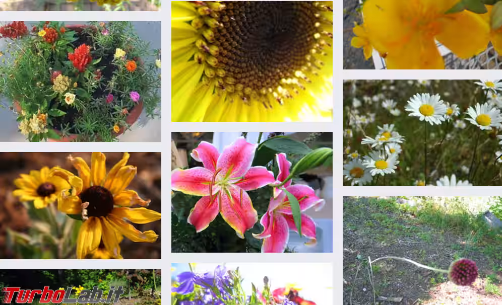 Annotazione 2019-05-04 095436