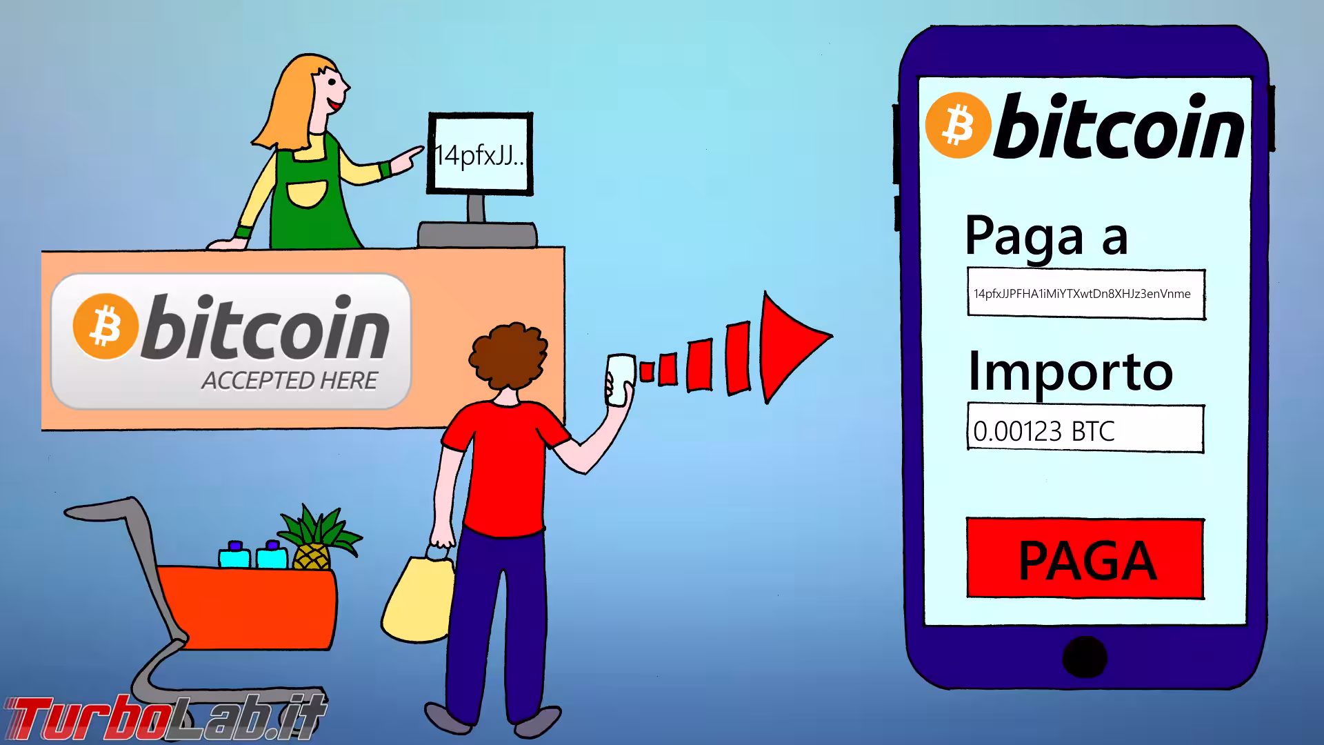 Bitcoin come funziona disegno 02