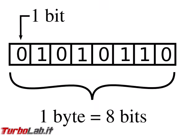 rappresentazione byte 8 bit