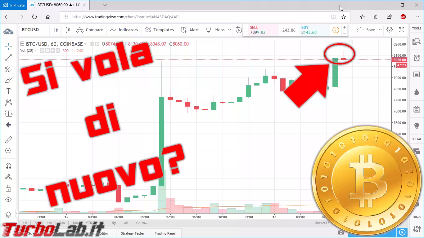 spotlight bitcoin bullish