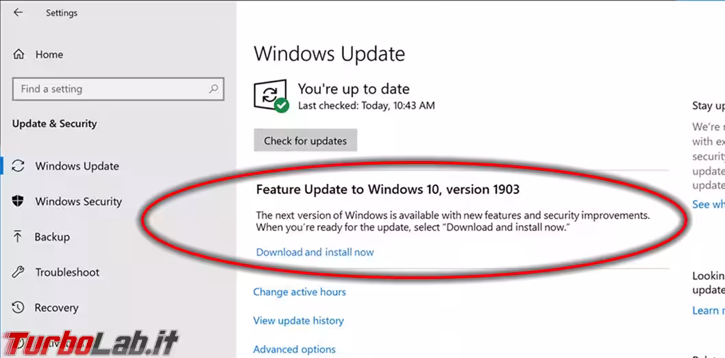 upgrade build windows 10