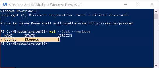 visualizzazione versione wsl
