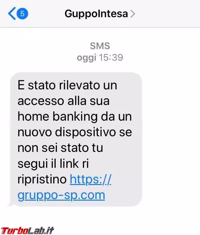 116341670_1672779609550380_4359330378259438462_