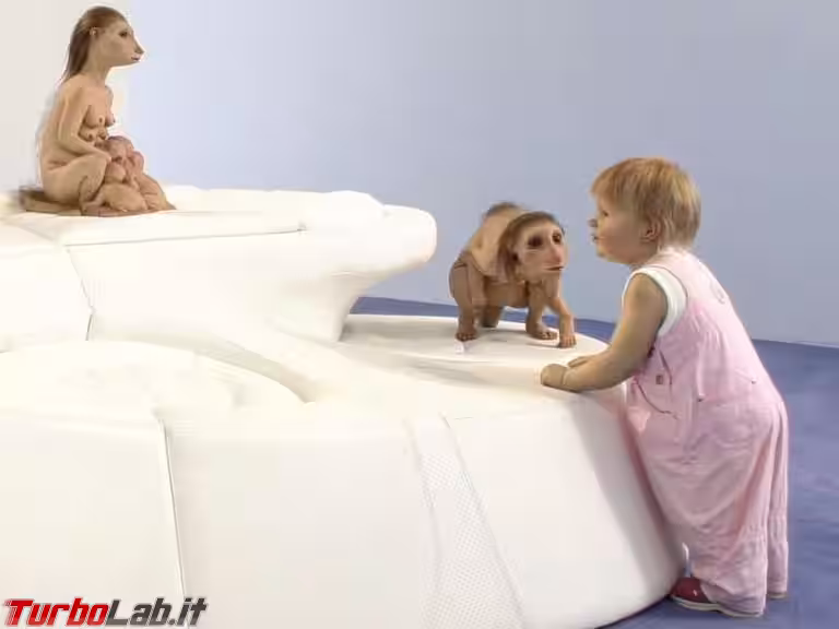 4QYA5C5MINDN5PRGE2BUJEAXQQ