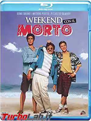 51BV6N3dXEL._AC_SY400_