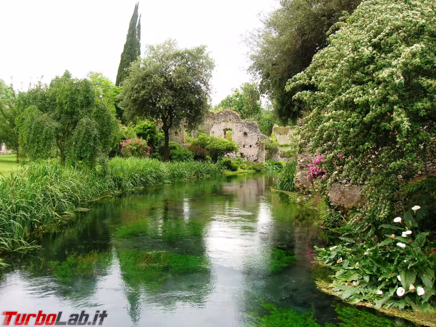 Giardino_di_Ninfa_85