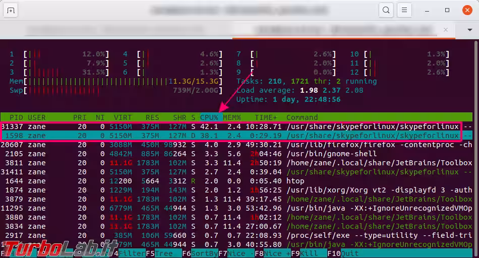 htop skype linux alta cpu
