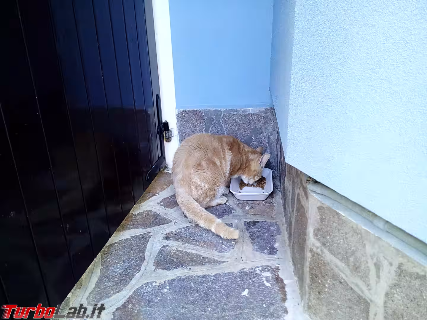 IMG_20200908_085223_8