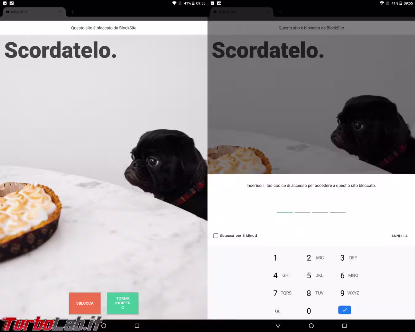 Senza nome