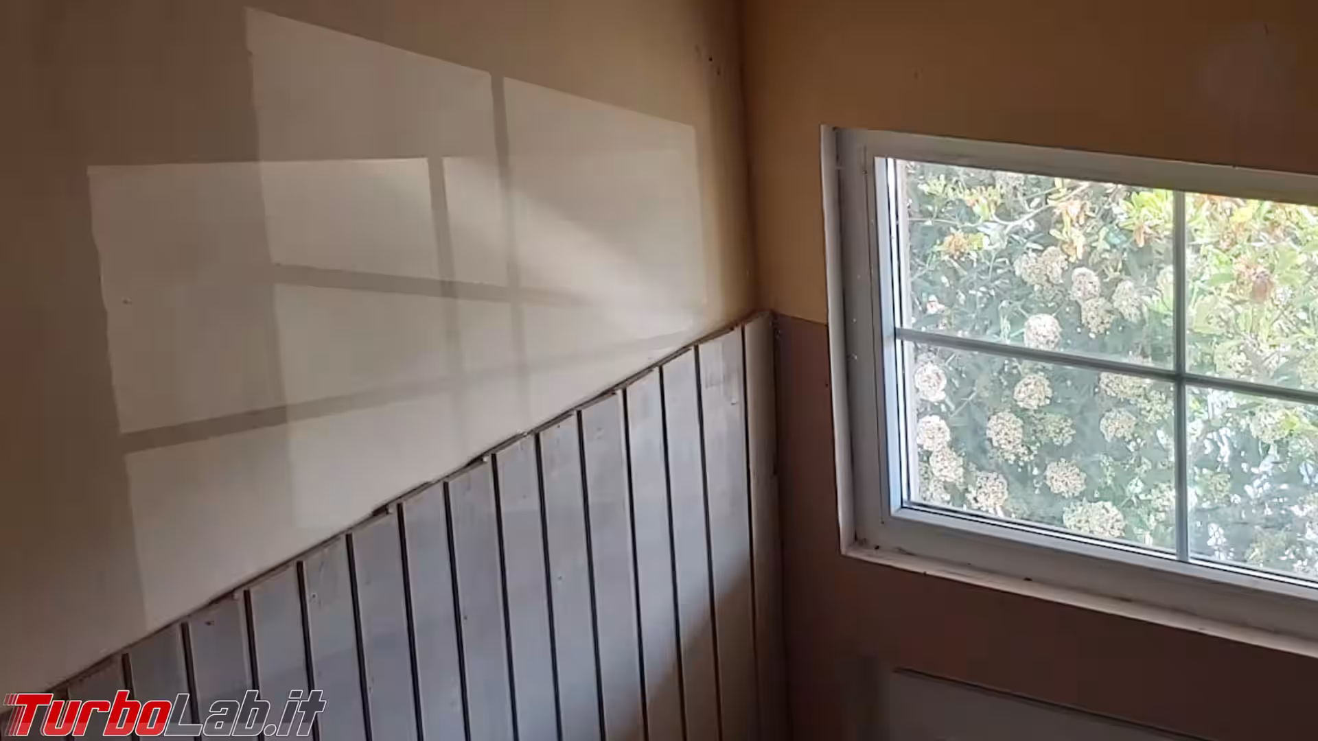 Windows 10 origine del logo