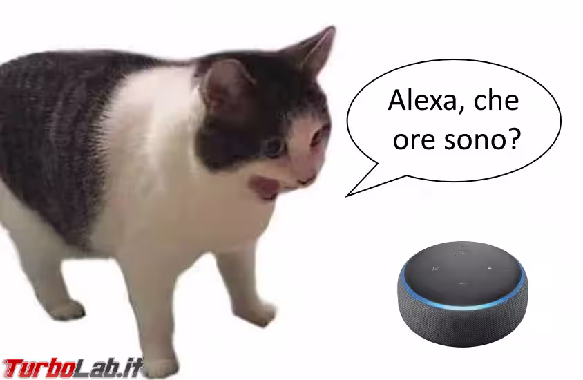 alexa_gatto