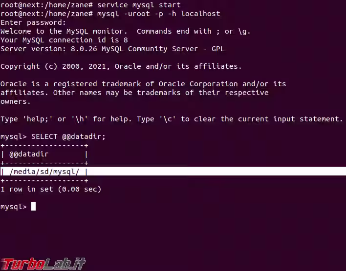 mysql datadir update