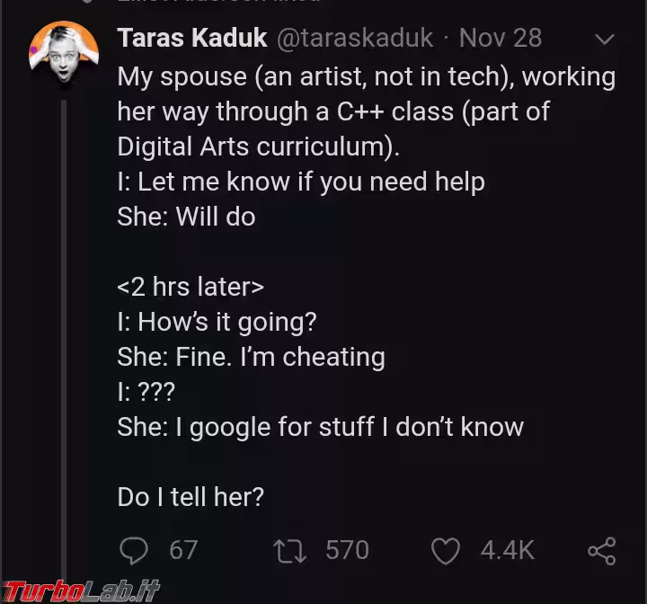 programmer googling cheati