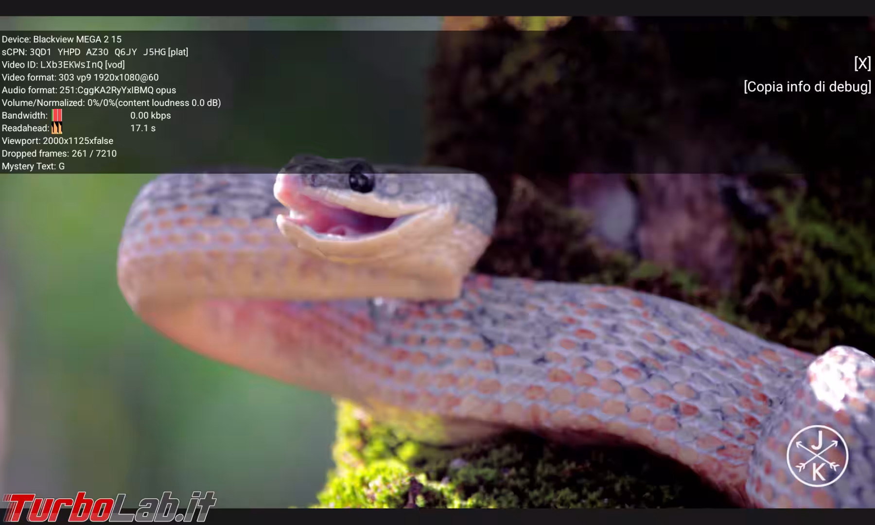 Blackview MEGA 2 YouTube 1080p (1)