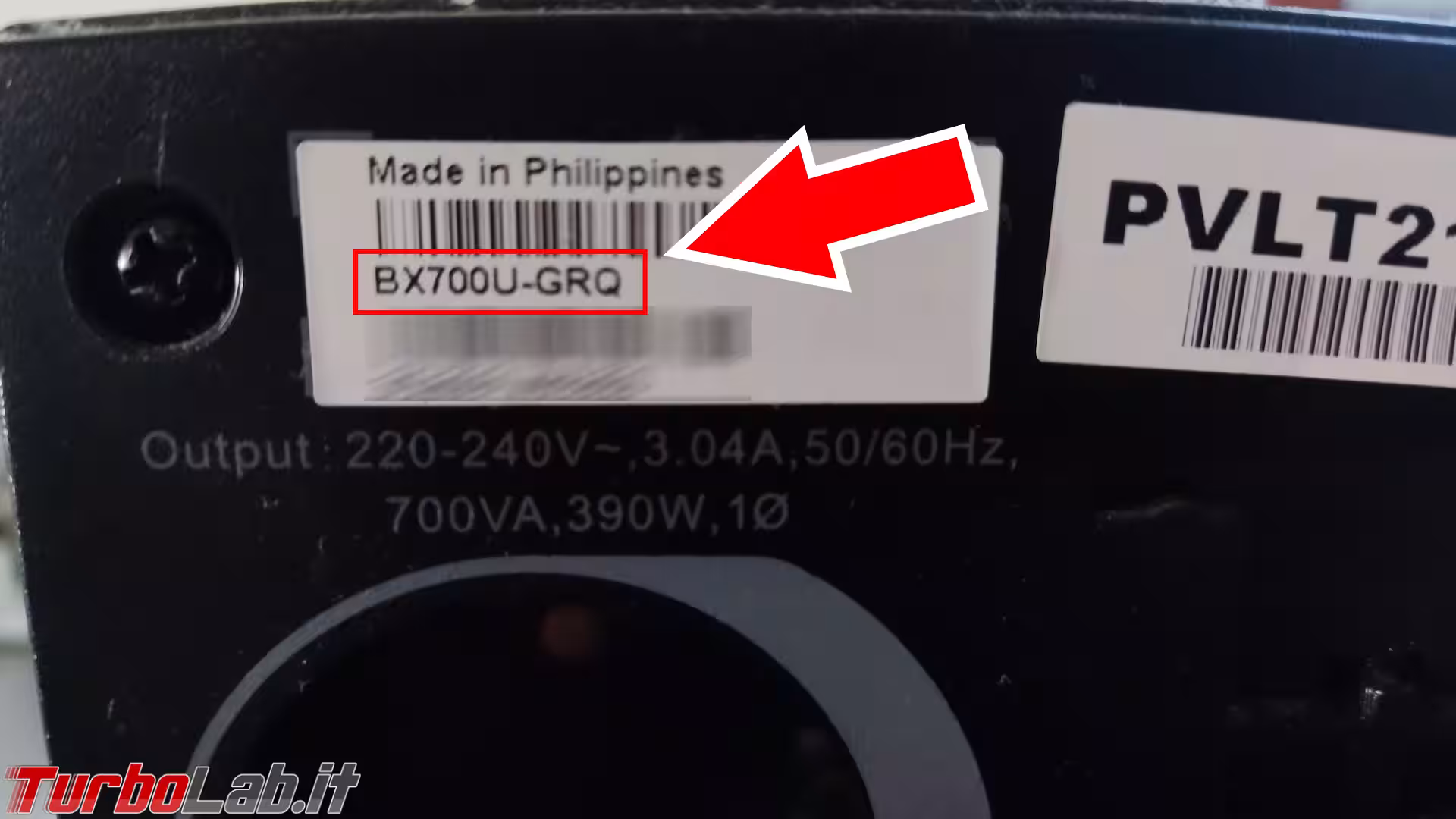 etichetta modello 01