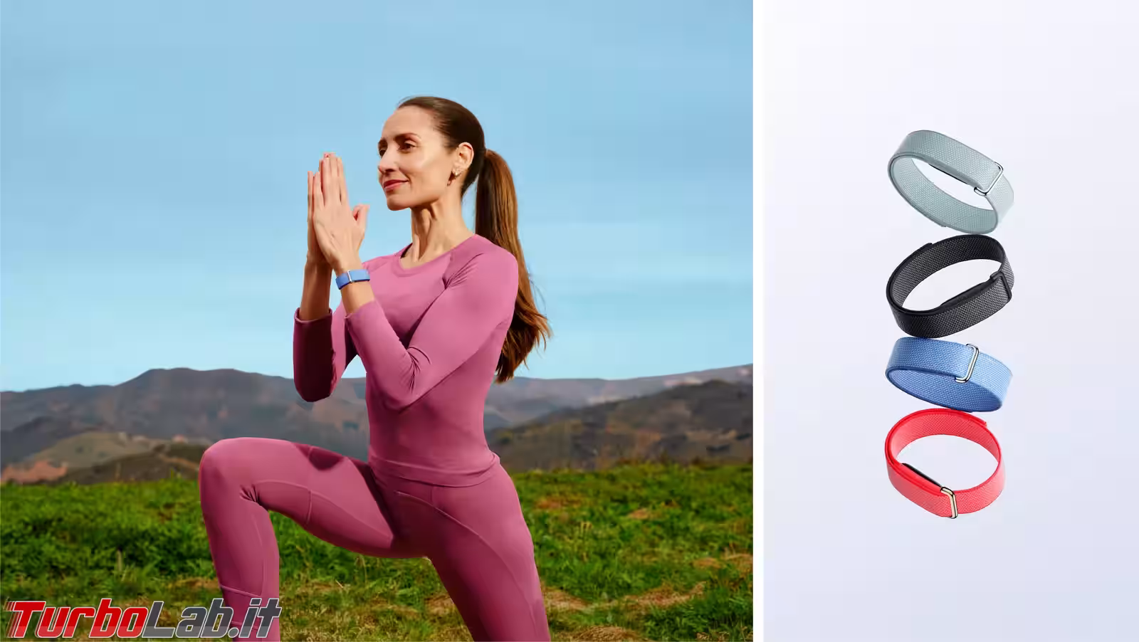Google Fitbit Air (5)