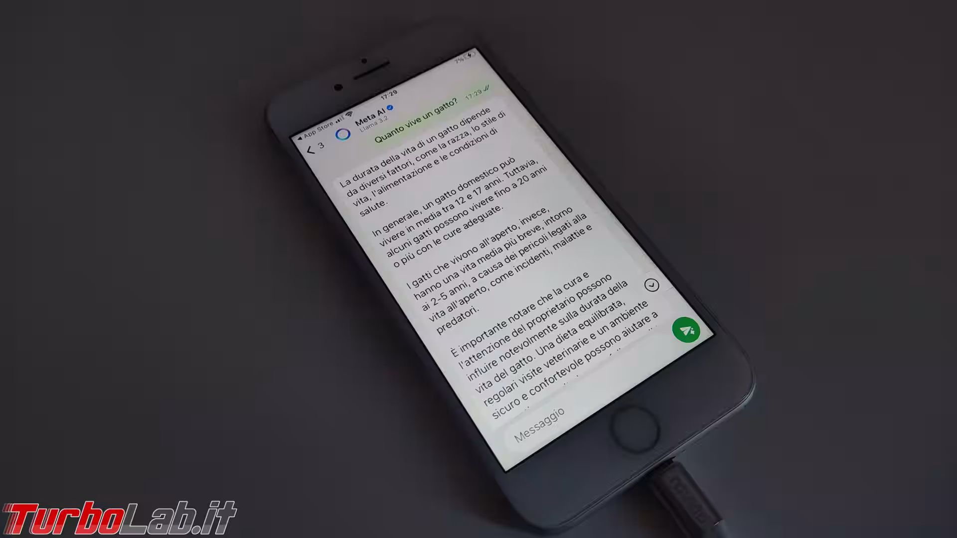 Meta AI WhatsApp (3)