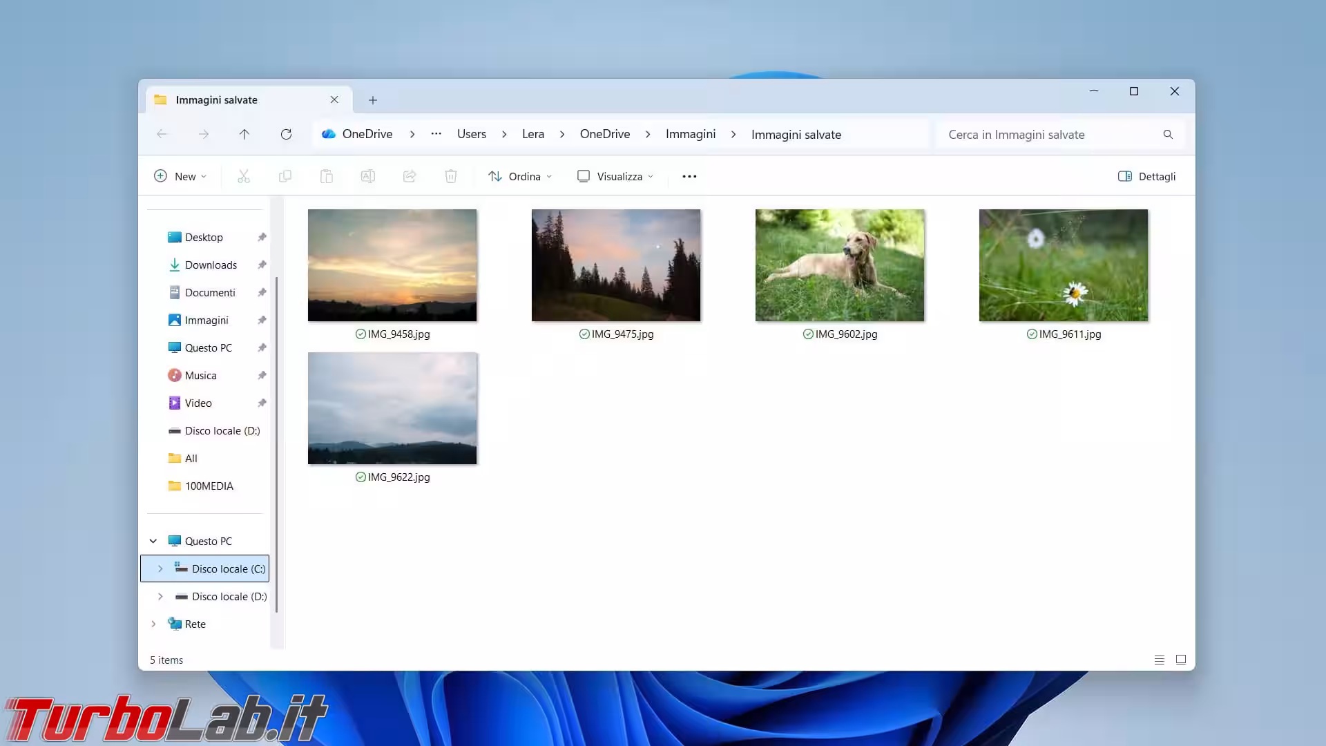 pasted-1776378589834-946881