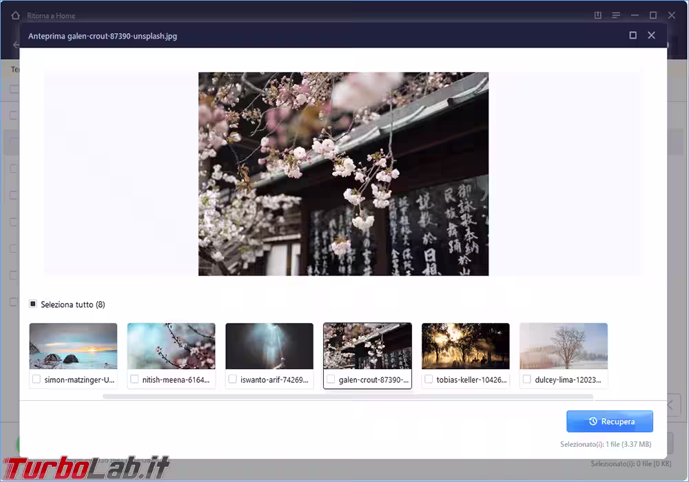 pasted-1779721702537-174955