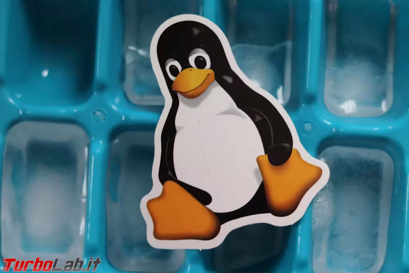 penguin-sticker-on-ice