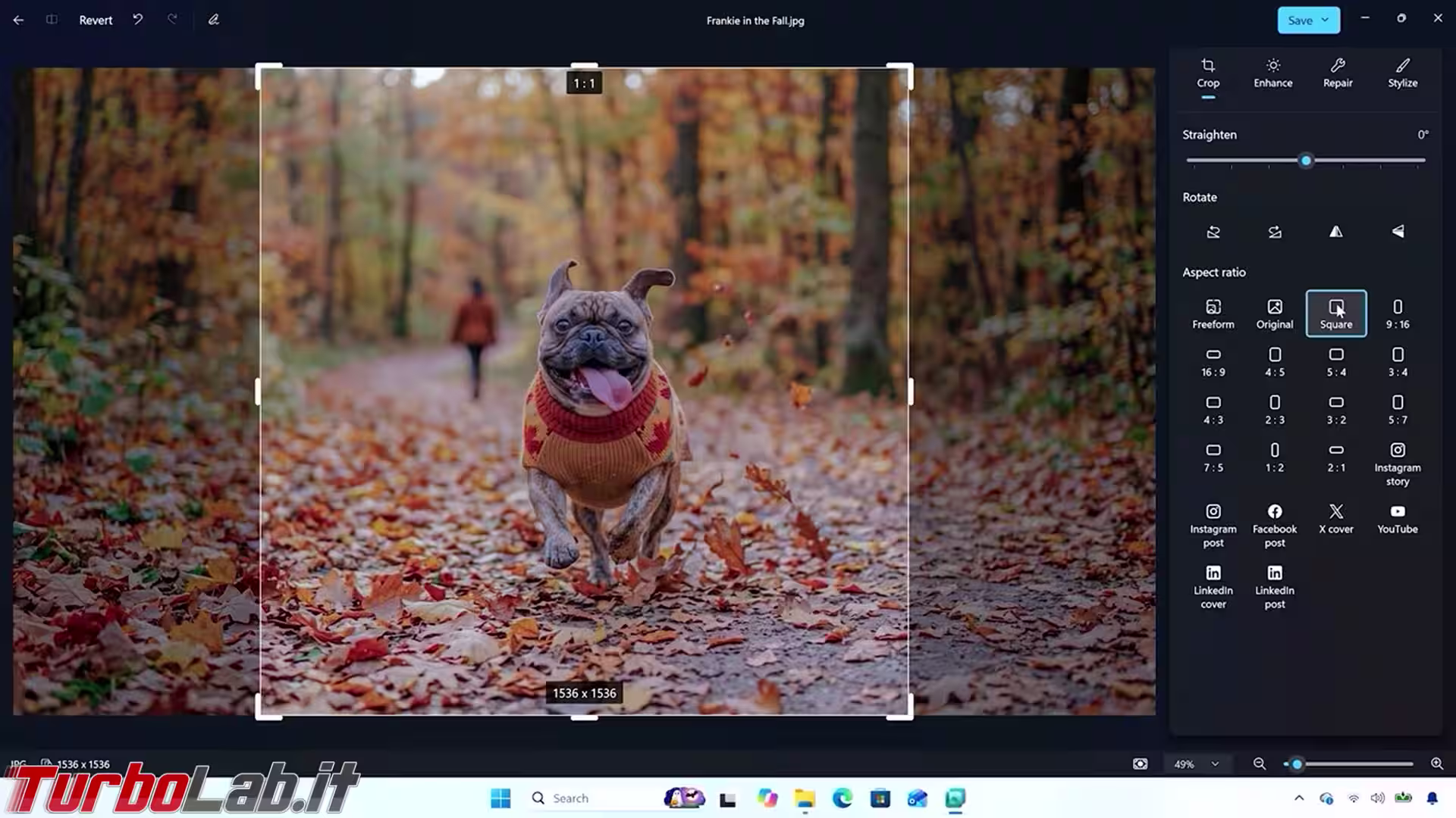 windows-11-photos