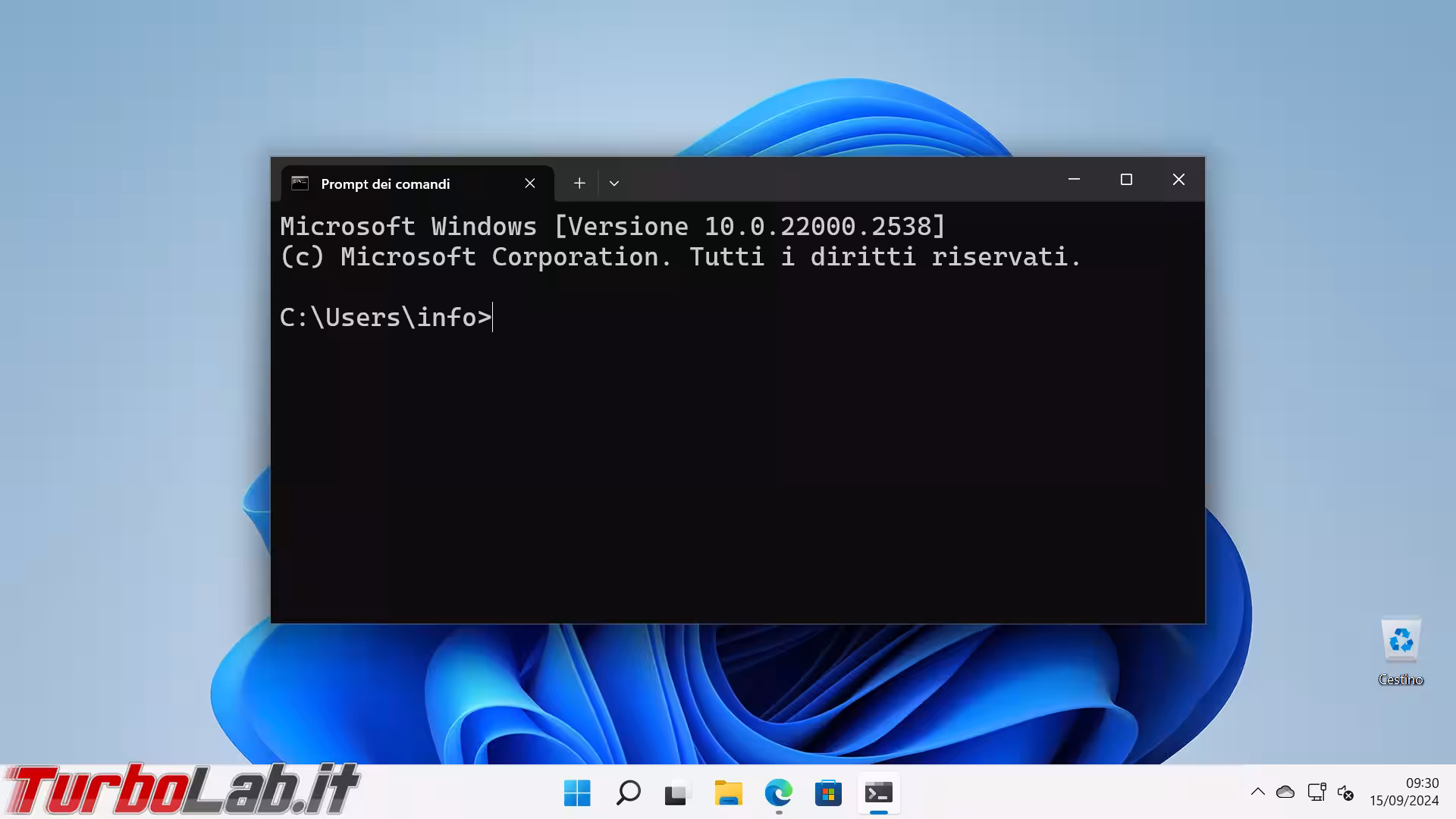 windows terminal command prompt