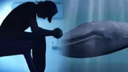 Blue Whale e il "suicidio sociale": quanto c'è di vero in questo fenomeno?