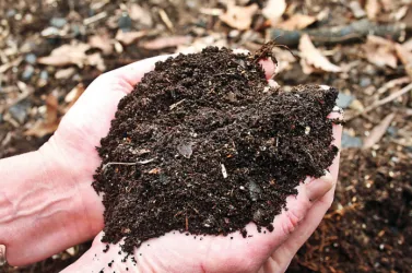 Riempiva di terra le scatole dei resi. Truffa colossale ai danni di Amazon