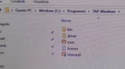 TAP Windows Adapter V9: che cosa è? Un virus? Come eliminare, disinstallare, rimuovere dal PC Windows 10?