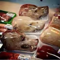 Carne di cane in vendita a Roma: bufala vecchia non fa buon brodo!