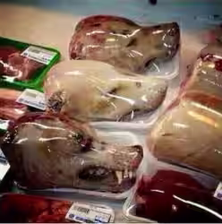 Carne di cane in vendita a Roma: bufala vecchia non fa buon brodo!