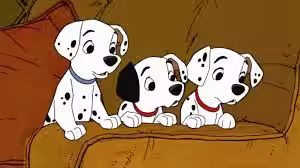 La truffa dei cuccioli online