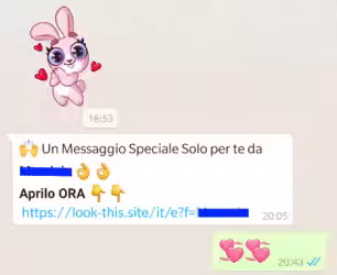 Evitate la catena "Un messaggio speciale solo per te", look this site