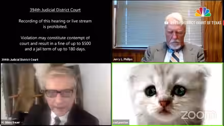 Dopo la gaffe dell'Avvocato-Gatto, Zoom aggiunge una pagina su come rimuovere il "cat filter"