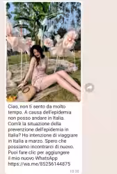 Messaggio di spam su WhatsApp: Ciao, non ti sento da molto tempo. Puoi fare clic per aggiungermi ai contatti