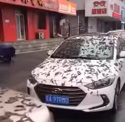 In Cina piovono vermi dal cielo: bufala o verità?
