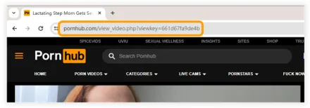 [Funziona al 100%] 3 modi per scaricare video porno da Pornhub nel 2024