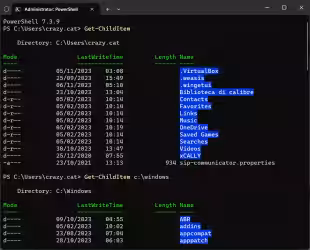 Come utilizzare PowerShell per ricercare ed elencare i file e le cartelle