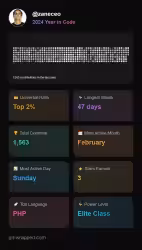 GitHub Wrapped racconta il tuo anno da programmatore