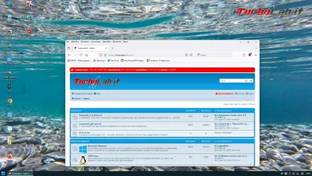 Windows 11 Live DVD/USB: download diretto ISO e guida completa