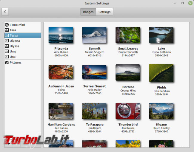 Aggiungiamo affascinanti background Linux Mint Cinnamon - LinuxBackground_002