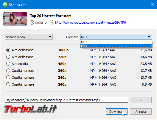 Alternativa Freemake scaricare video YouTube convertire MP3: 4K Video Downloader (Windows, Linux, macOS)