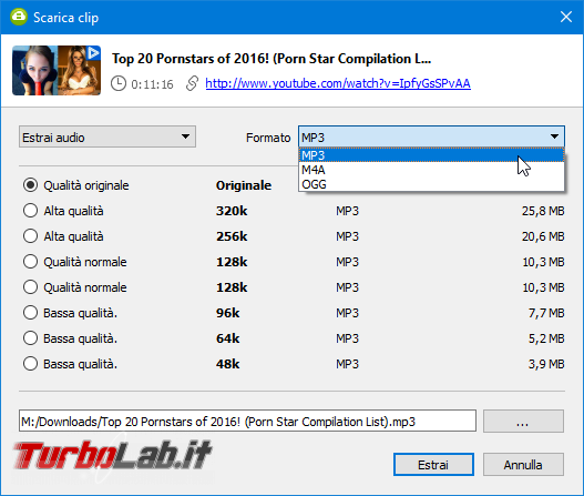 Alternativa Freemake scaricare video YouTube convertire MP3: 4K Video Downloader (Windows, Linux, macOS)
